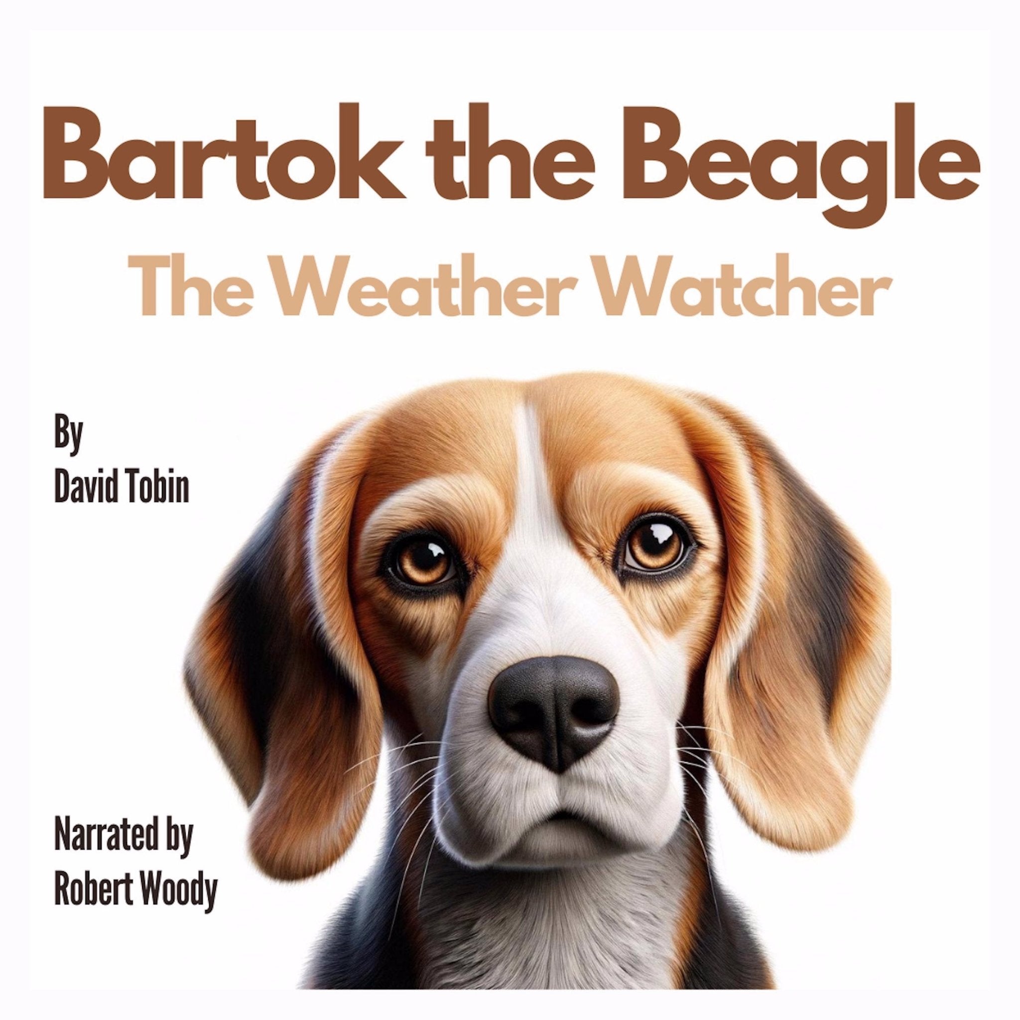 Bartok the Beagle: The Weather Watcher (Audiobook) m4b Page and Sound Page and Sound