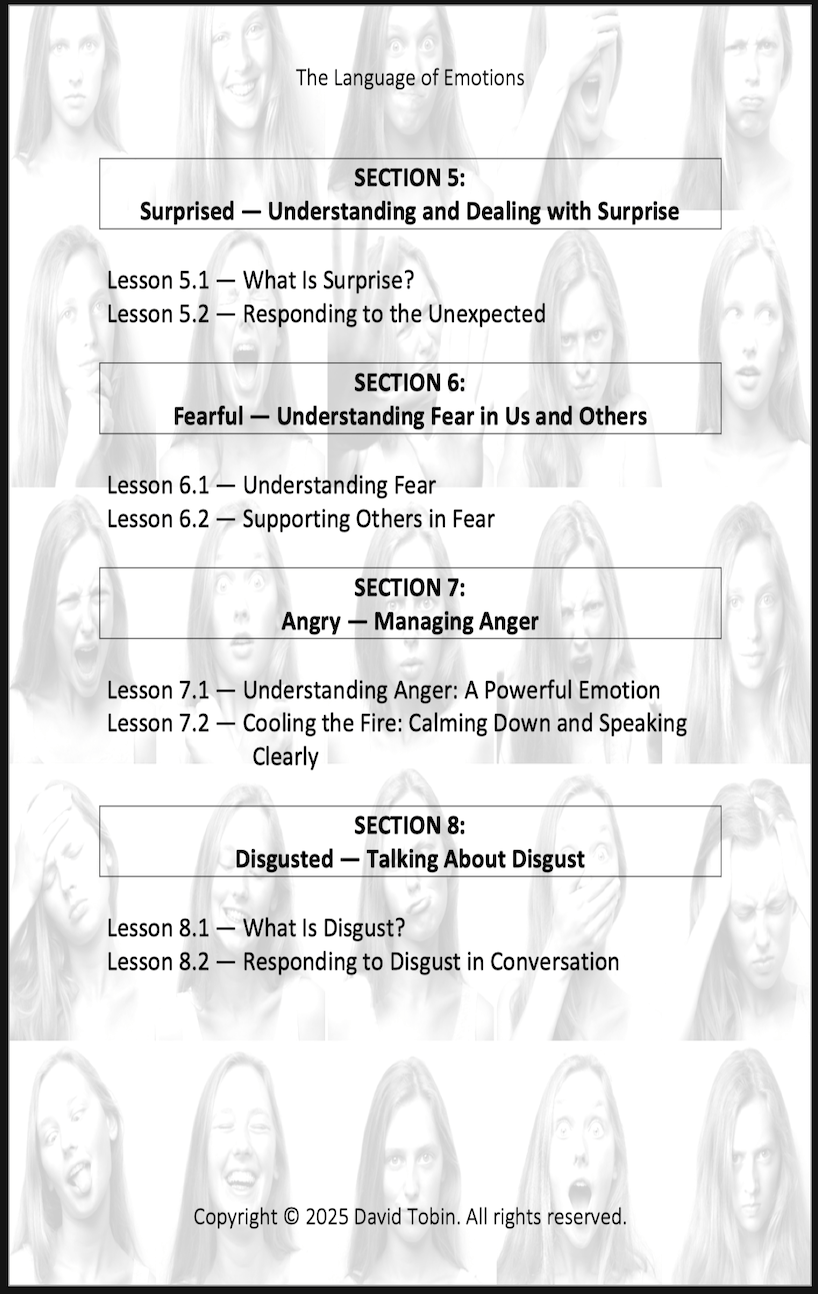 The Language of Emotions: Finding the Right Words for Your Feelings [Livro em inglês] PDF Download Page and Sound Page and Sound